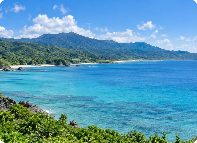 本部町の風景のイメージ