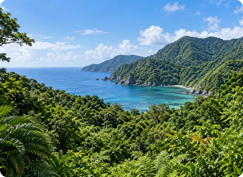 大宜味村の風景のイメージ